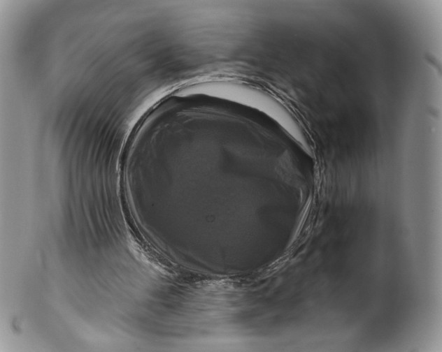 X0000099950100200806131456