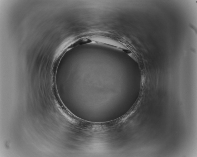 X0000099950101200806131456