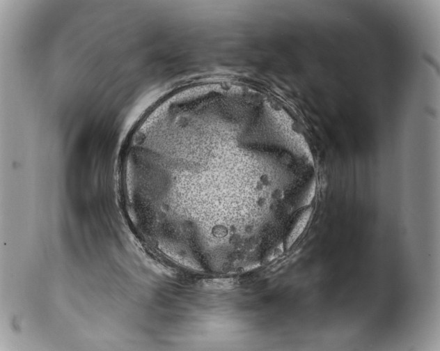 X0000099950102200806131456