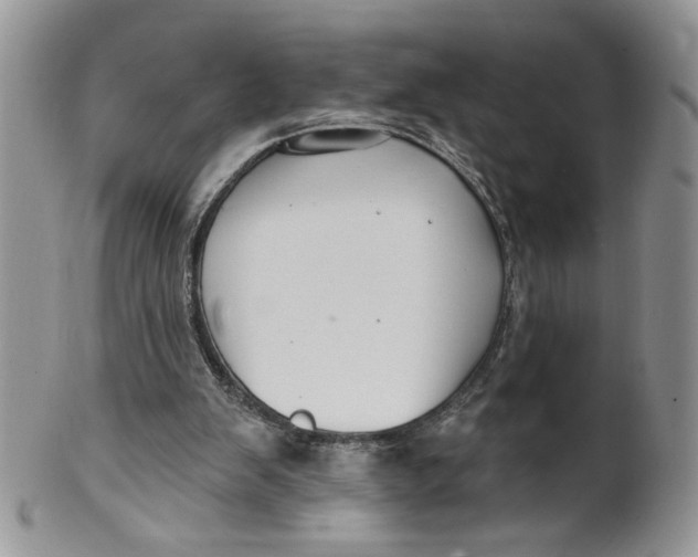 X0000099950103200806131456