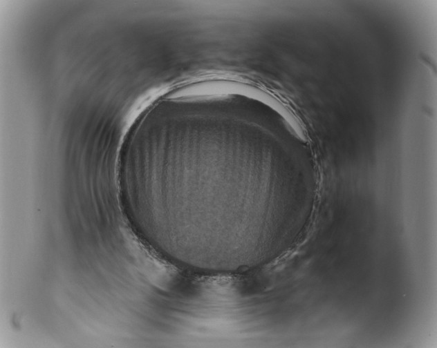 X0000099950104200806131456