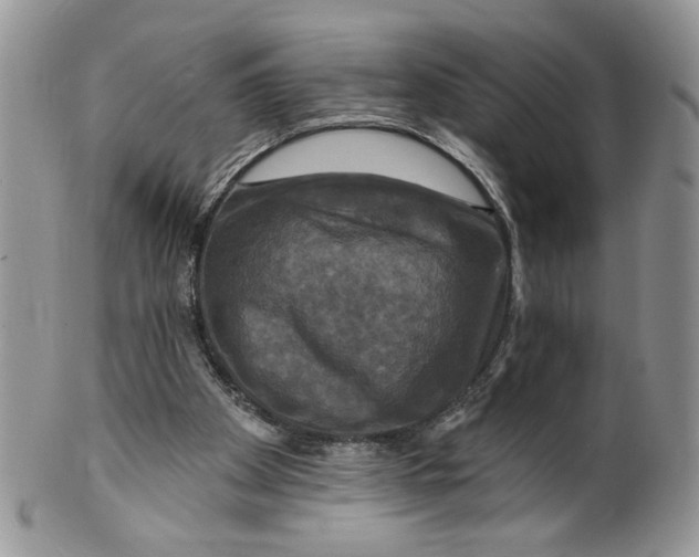 X0000099950105200806131456