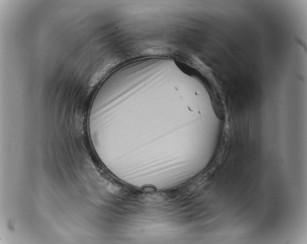 X0000099950106200806131456