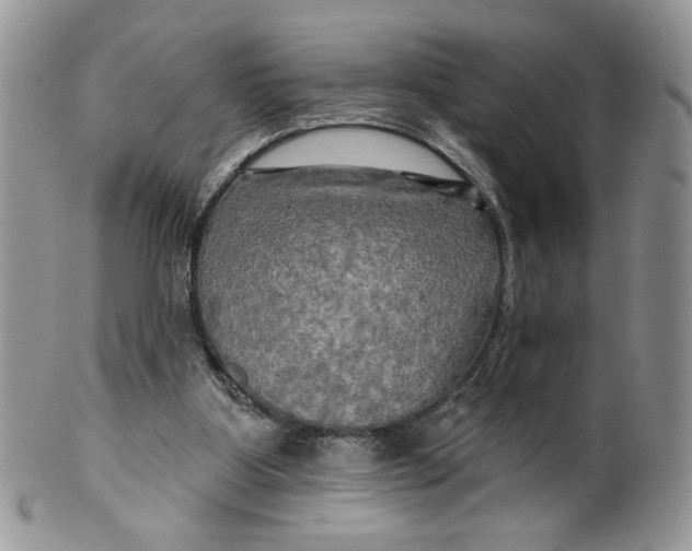 X0000099950107200806131456
