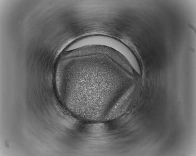 X0000099950108200806131456