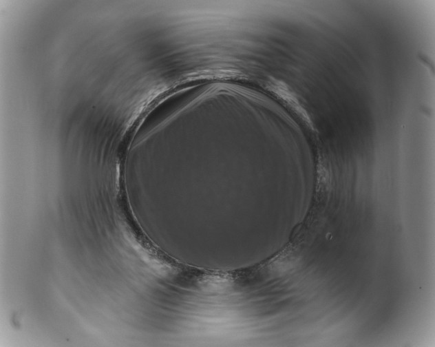 X0000099950110200806131456