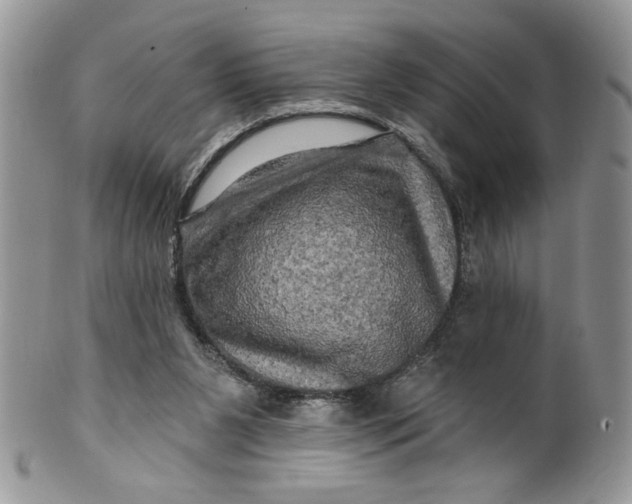 X0000099950111200806131456