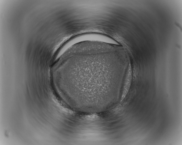 X0000099950112200806131456