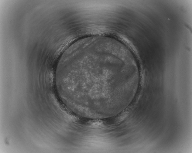 X0000099950113200806131456