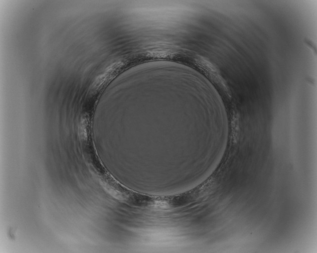 X0000099950114200806131456