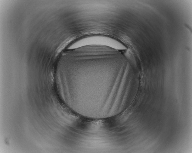 X0000099950116200806131456