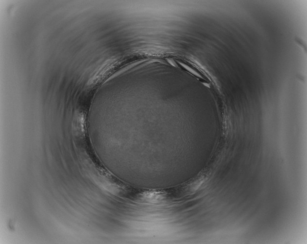 X0000099950117200806131456