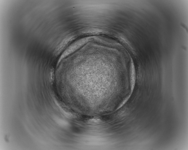 X0000099950119200806131456