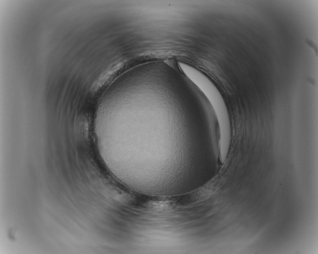 X0000099950120200806131456
