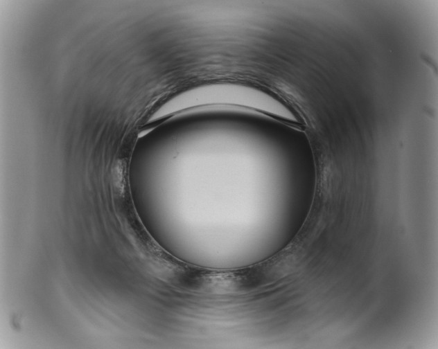 X0000099950121200806131456