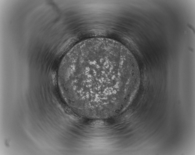 X0000099950123200806131456