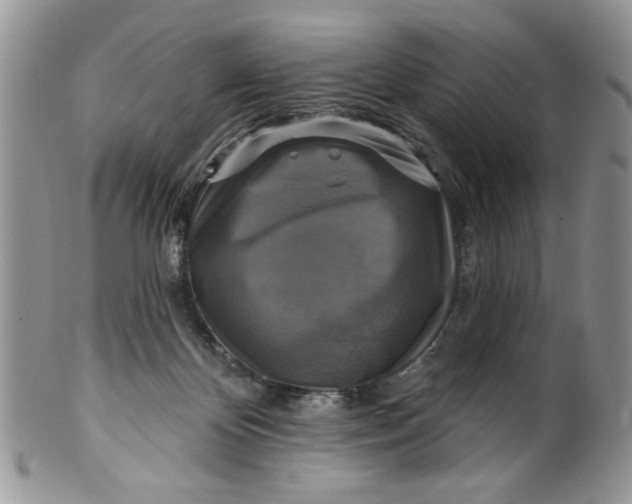 X0000099950124200806131456