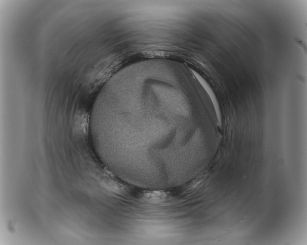 X0000099950125200806131456