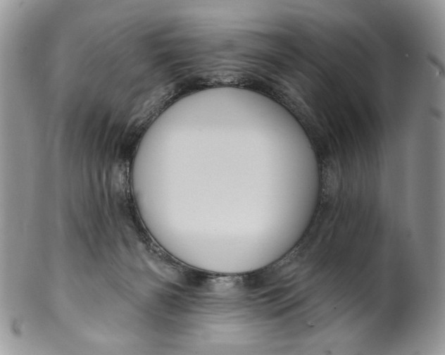 X0000099950126200806131456