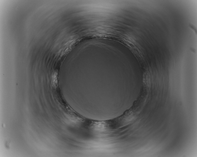 X0000099950127200806131456