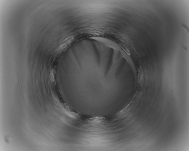 X0000099950128200806131456