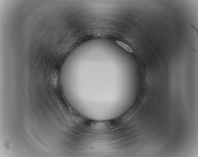 X0000099950129200806131456