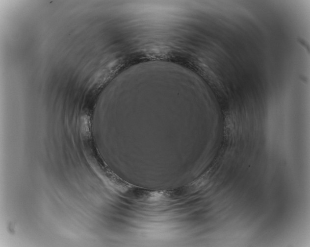 X0000099950130200806131456