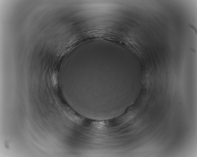 X0000099950131200806131456