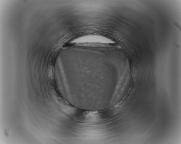 X0000099950132200806131456