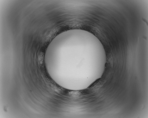 X0000099950133200806131456