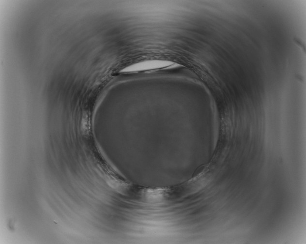 X0000099950134200806131456