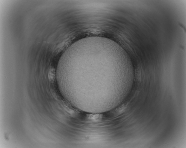 X0000099950135200806131456