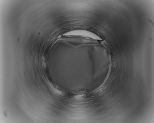 X0000099950136200806131456