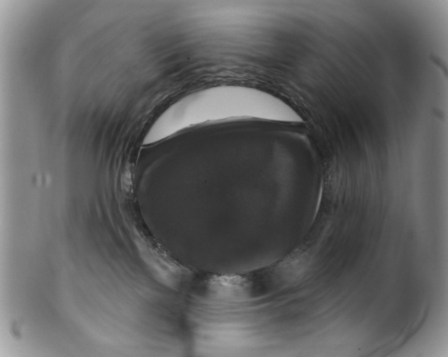 X0000099950137200806131456