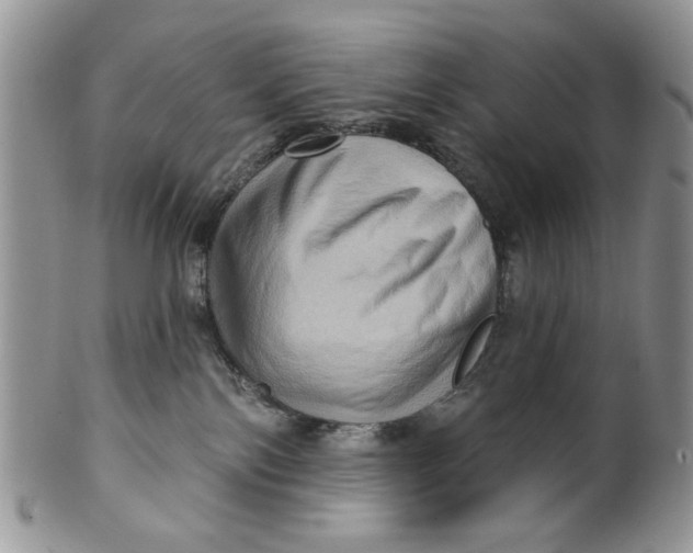 X0000099950138200806131456