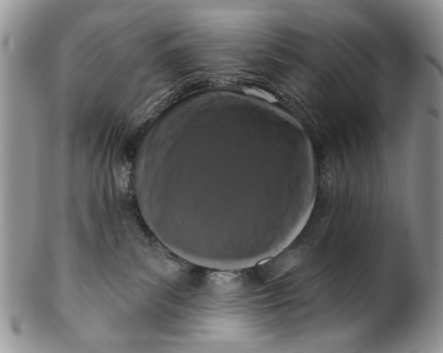 X0000099950139200806131456