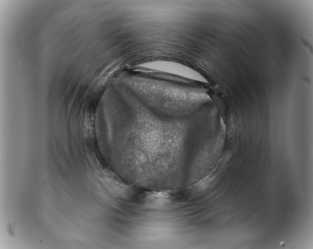 X0000099950140200806131456