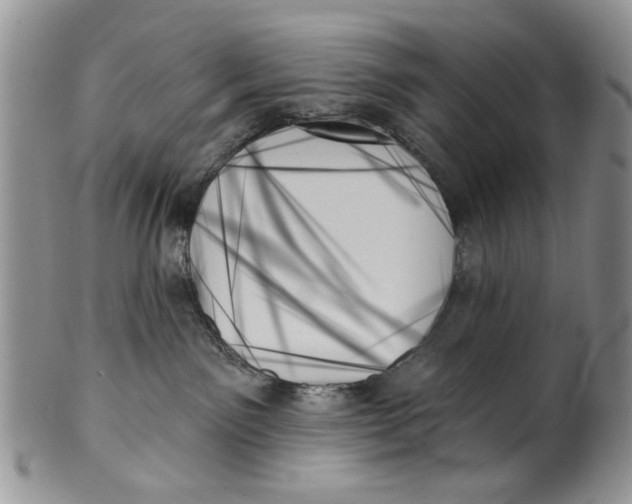 X0000099950141200806131456