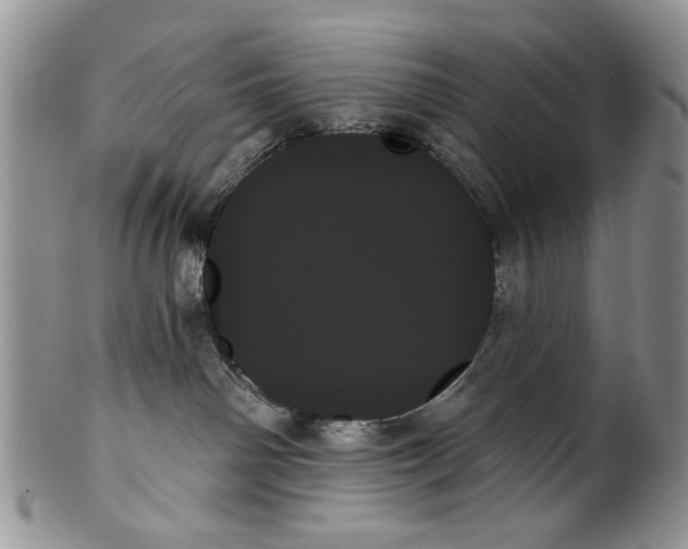 X0000099950142200806131456