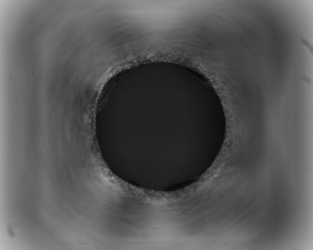 X0000099950144200806131456