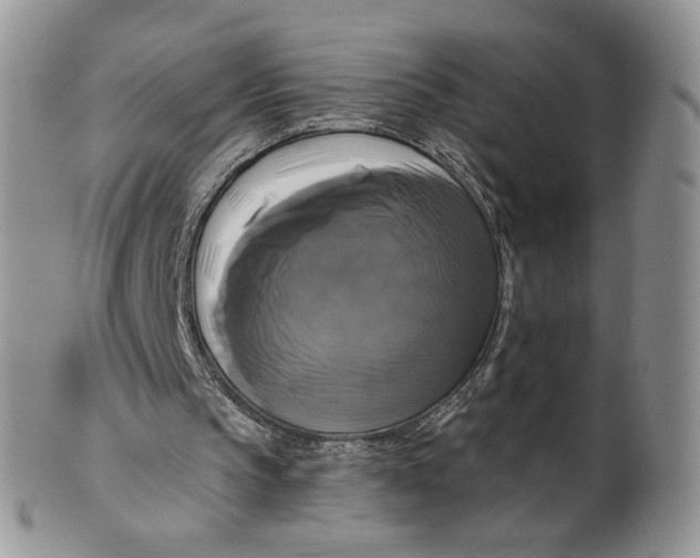 X0000099950145200806131455