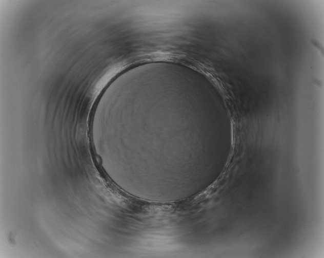X0000099950147200806131455
