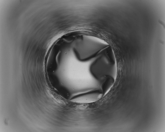 X0000099950148200806131455