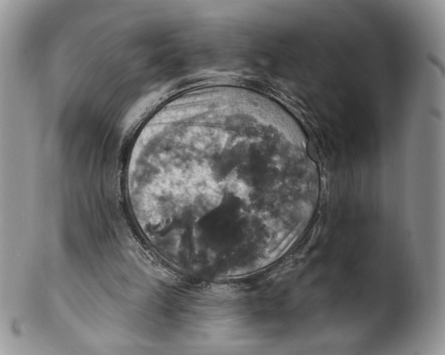 X0000099950149200806131455