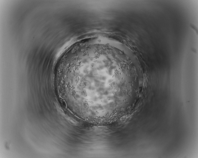 X0000099950150200806131455