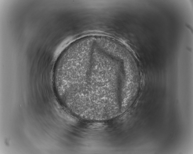 X0000099950151200806131455