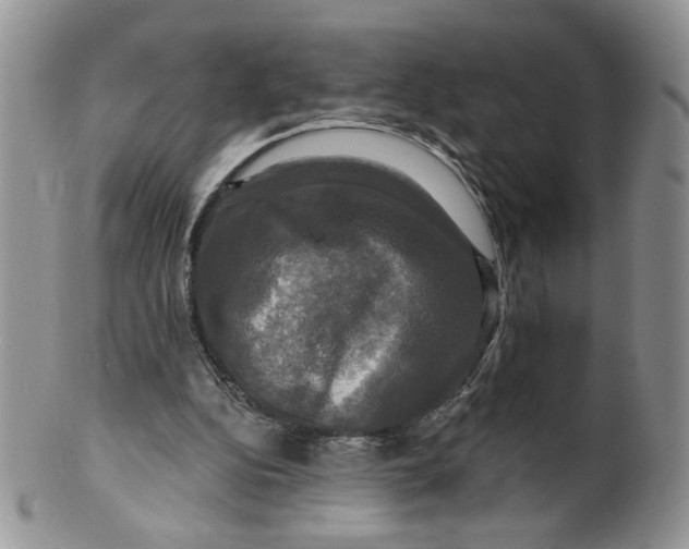 X0000099950152200806131455