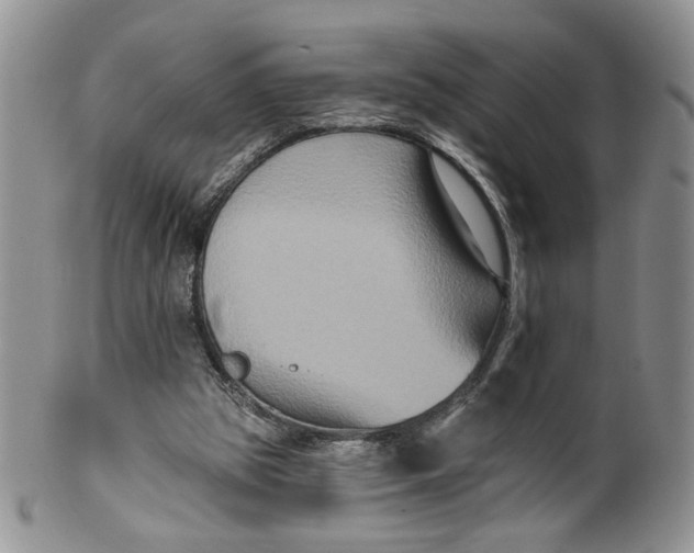 X0000099950153200806131455