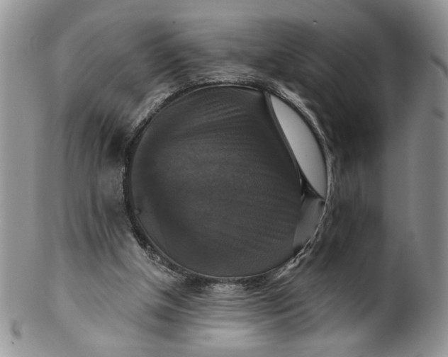 X0000099950154200806131455