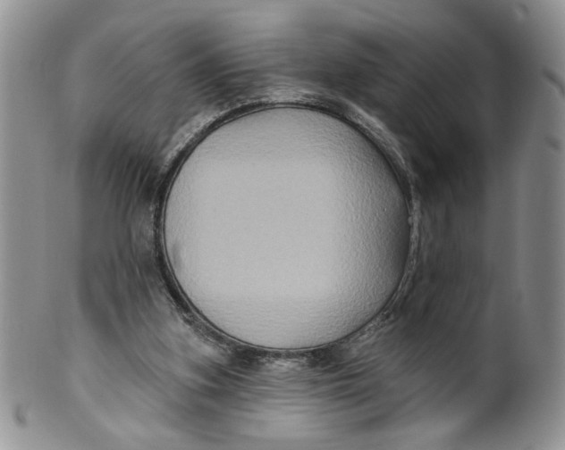 X0000099950155200806131455